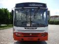 �nibus Usados �nibus Urbanos Urbanuss